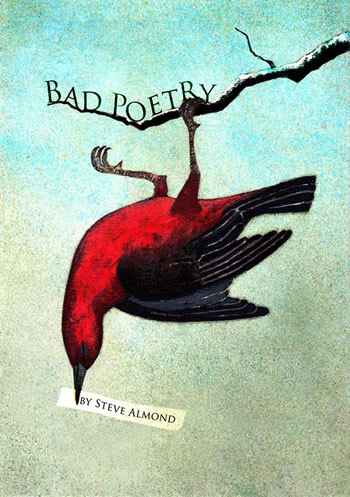 Bad Poetry by Steve Almond