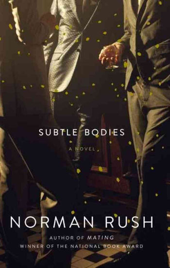 the cover of "Subtle Bodies" by Norman Rush