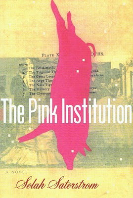 The Pink Institution by Selah Saterstrom