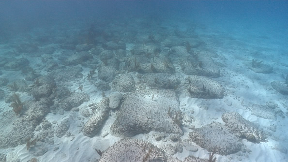 the Bimini Road, photographed underwater