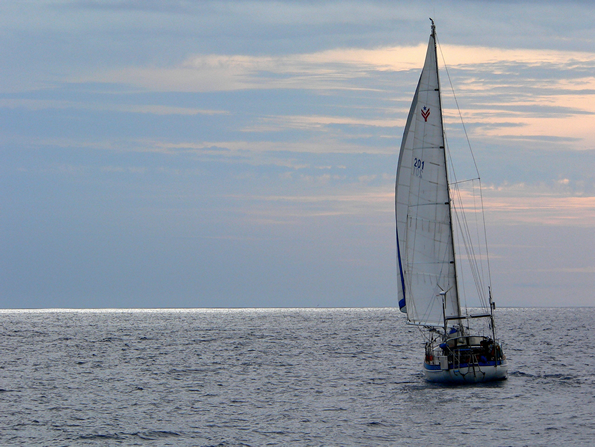 sailboat on the ocean