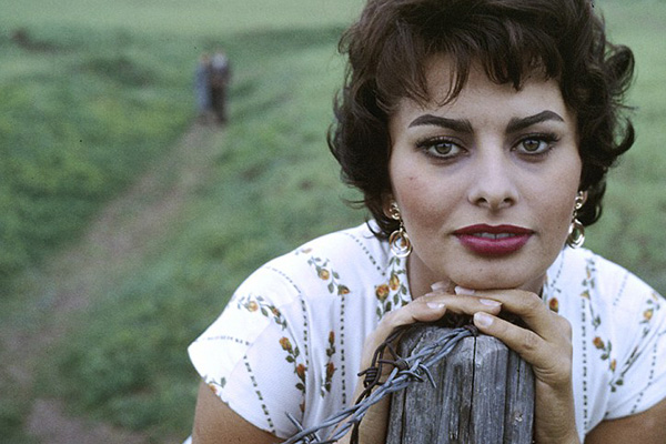 On the Career of Sophia Loren