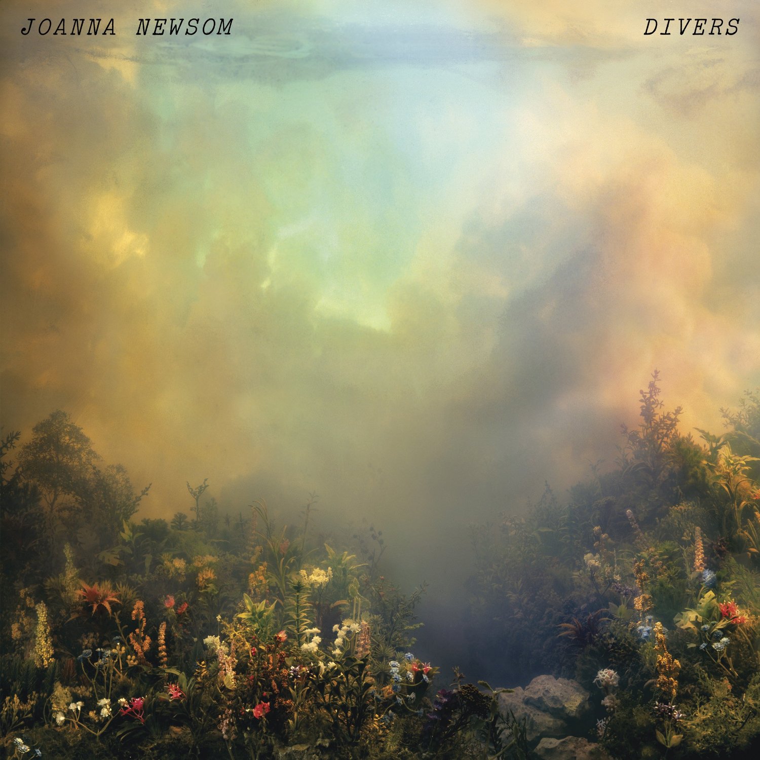 cover of the album Divers by Joanna Newsom