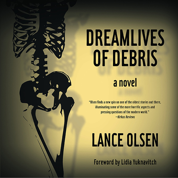 cover of Dreamlives of Debris by Lance Olsen