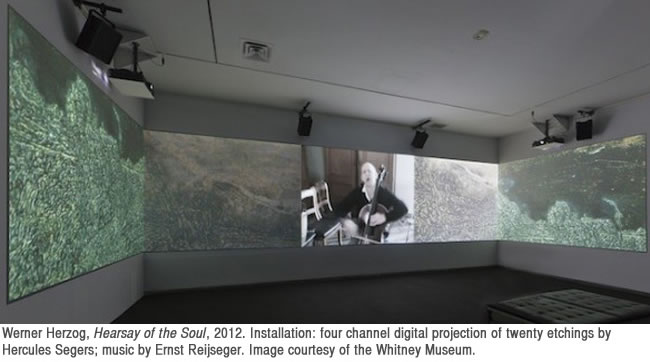"Hearsay of the Soul," a film by Werner Herzog at the 2012 Whitney Biennial